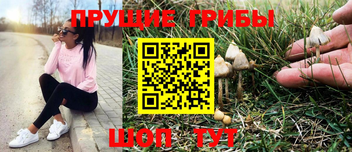 Псилоцибиновые грибы Cubensis  Вход с VPN  Узловая 